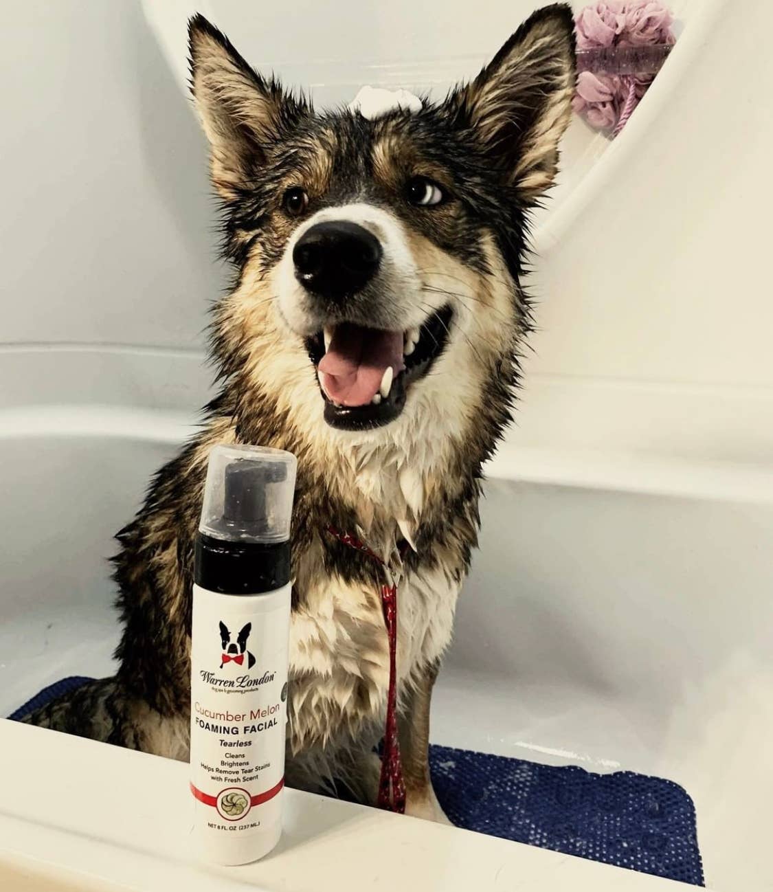 Tearless Shampoo for Dog Faces - Cucumber Melon