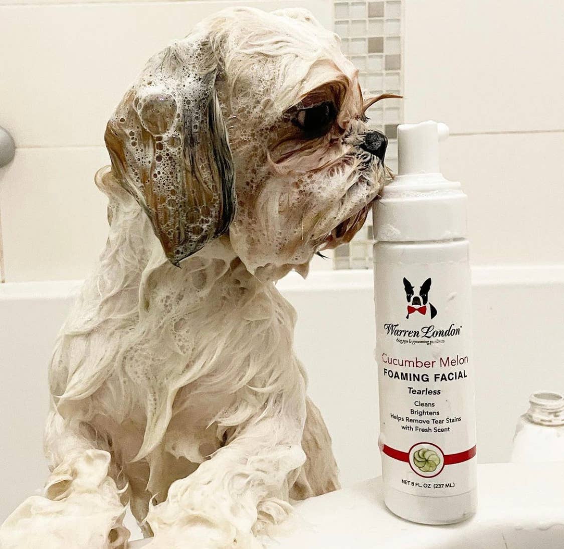 Tearless Shampoo for Dog Faces - Cucumber Melon